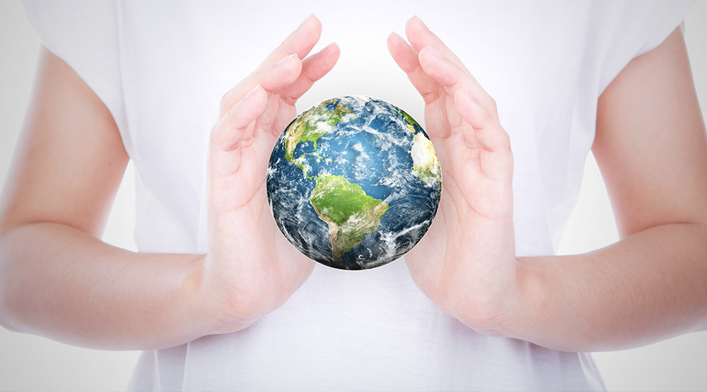 globe in the hands msmstudy.eu